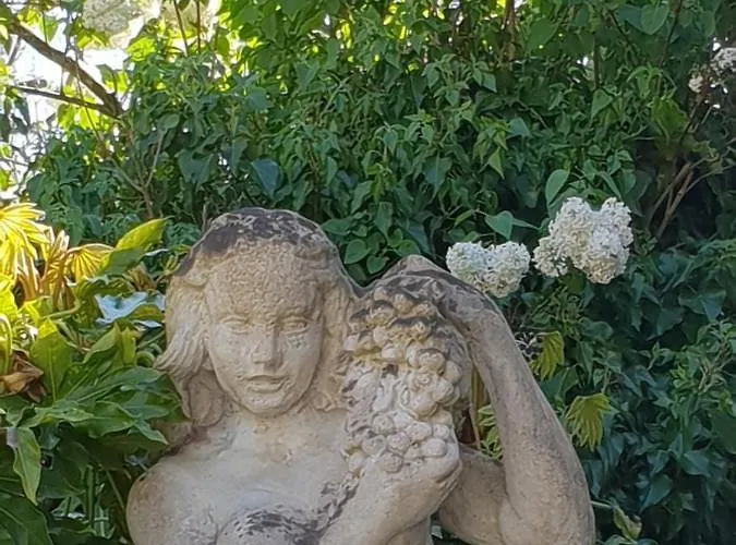 Ξενοδοχείο Chateau La Tour Du Roy 3*